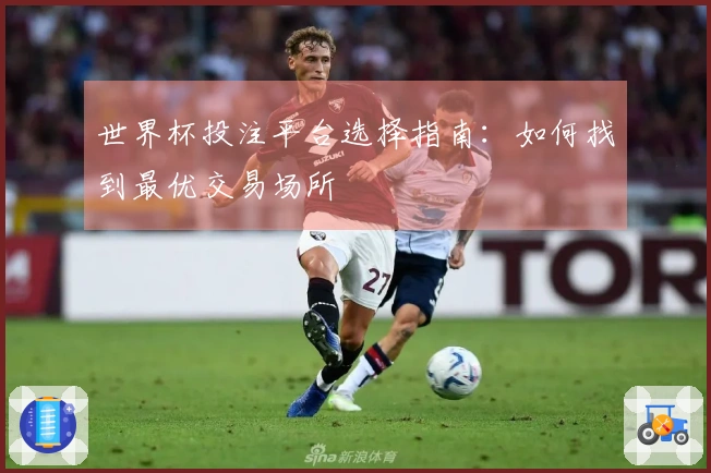 世界杯投注平台选择指南：如何找到最优交易场所