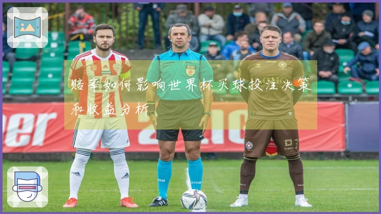 赔率如何影响世界杯买球投注决策和收益分析