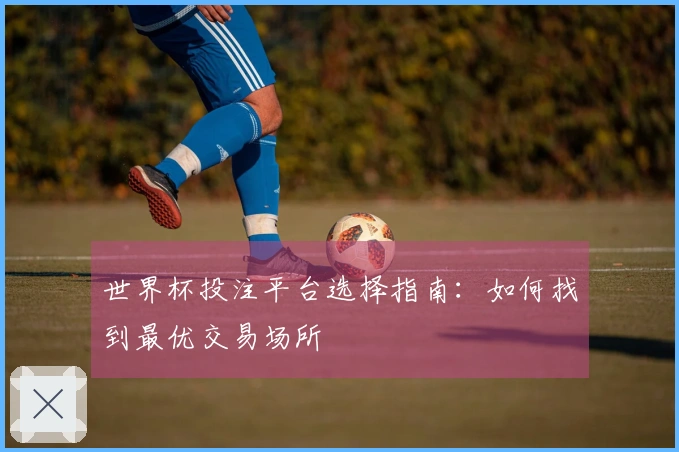 世界杯投注平台选择指南：如何找到最优交易场所