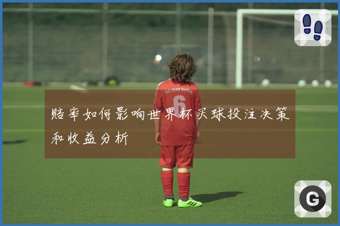 赔率如何影响世界杯买球投注决策和收益分析