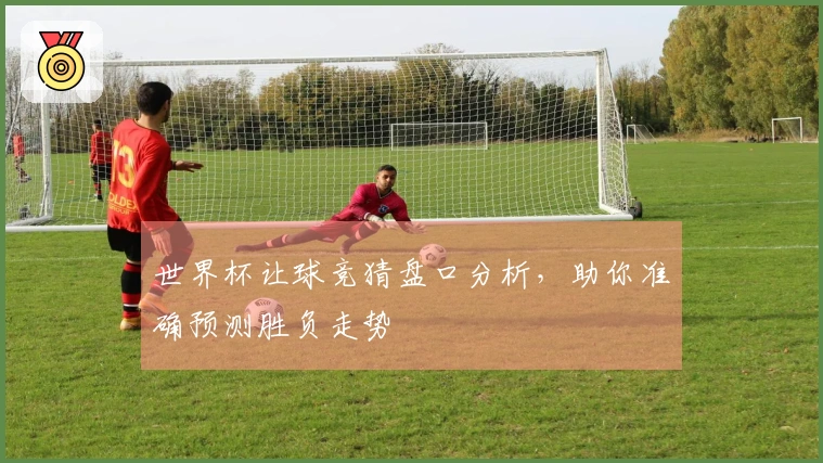 世界杯让球竞猜盘口分析，助你准确预测胜负走势